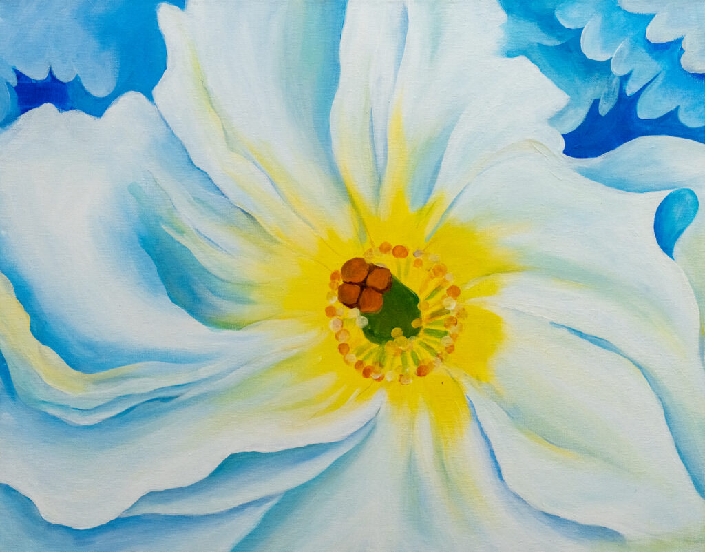 White Iris (흰 붓꽃)