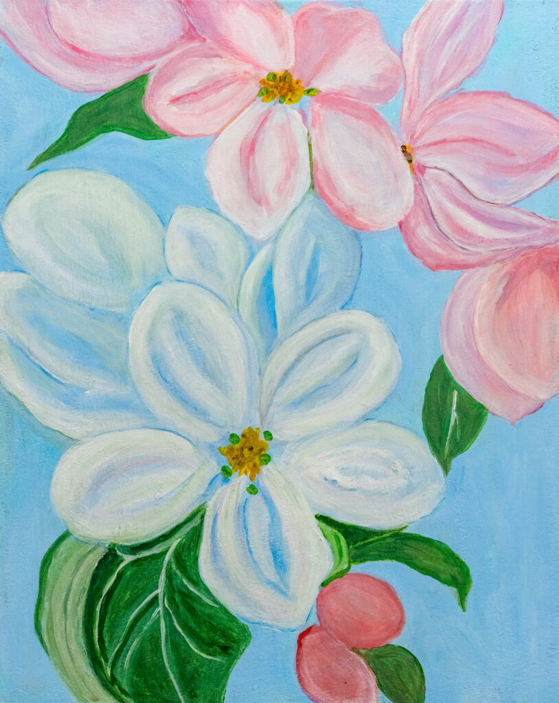 Apple Flower (사과꽃)
