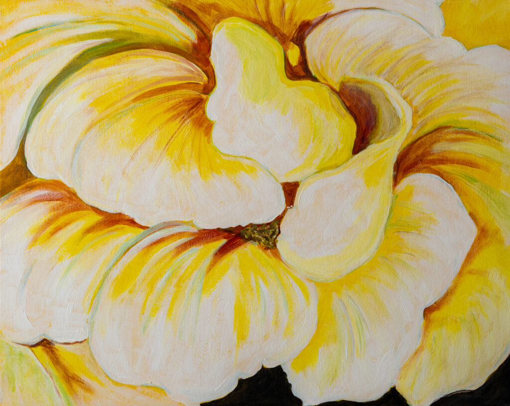 Yellow Paeonia Suffruticosa (노란 모란)