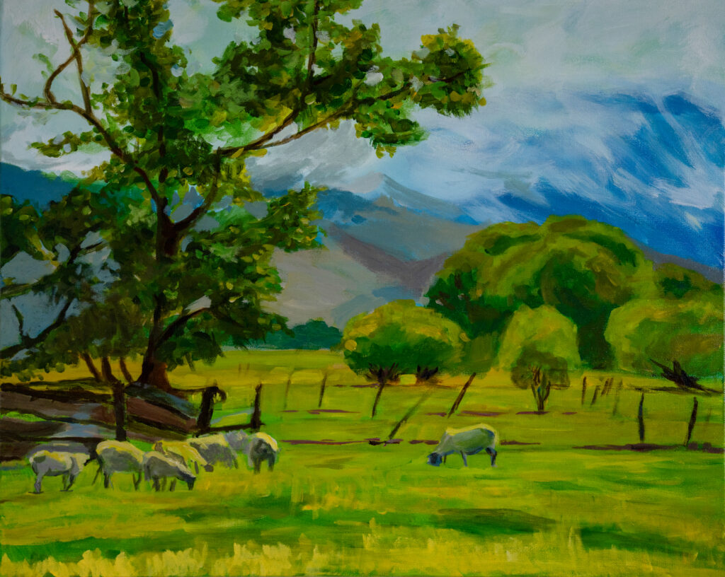 The Prairie, New Zealand (초원)