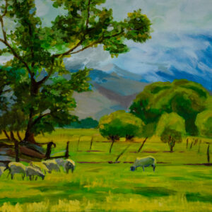 The Prairie, New Zealand (초원)