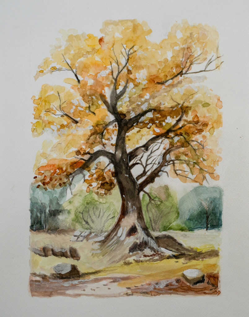The Wisdom of the Golden Tree (황금빛 고목의 지혜)