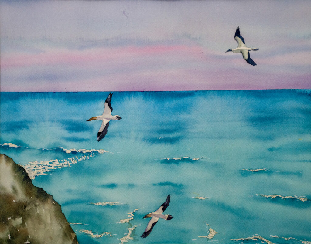 The Seagulls (갈매기)